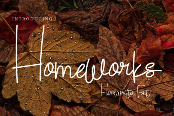 Download Homeworks - Premium Resources